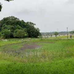 水の江公園