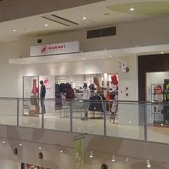 Mammut