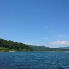 大根島