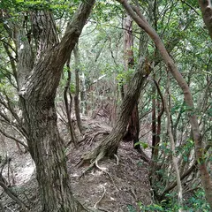 上峰町