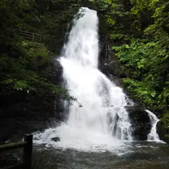 秋芳白糸の滝