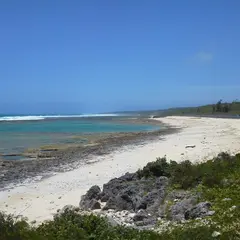 大度浜海岸