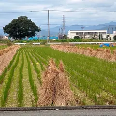 田村