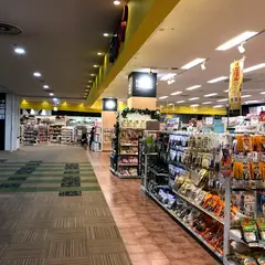 PeTeMo(空港ドッグセンター) 伊丹昆陽店