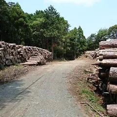 陣座峠