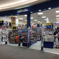 22年 越谷市のおすすめ書店 本屋ランキングtop9 Holiday ホリデー