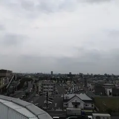 RODEO CROWNS WIDE BOWL イオンレイクタウンkaze店