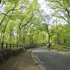 奈良橋