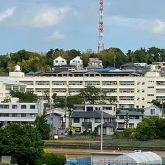 田奈町