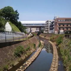 荏田町