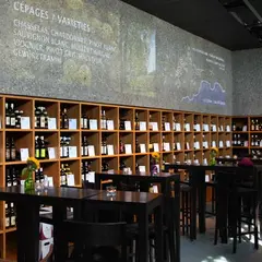 Lavaux Vinorama