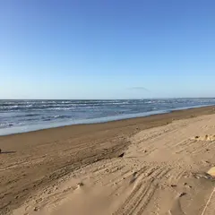今浜海岸