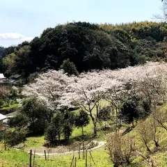 瑞厳寺公園