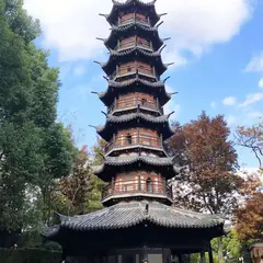 Shang Hai She Shan Guo Jia Sen Lin Gong Yuan