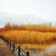 Xi Sha Guo Jia Shi Di Gong Yuan
