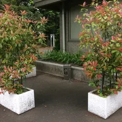 喫煙所
