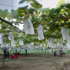 ヤマナカ果園