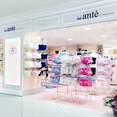 ante by intesucre ルミネエスト新宿店