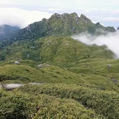 永田岳