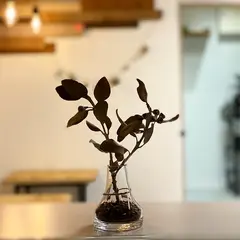 MYOKO COFFEE北新井店