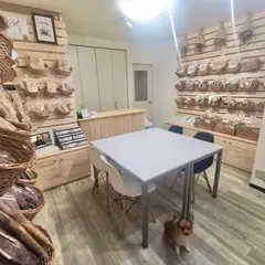 犬用自然派おやつ専門店イリオスマイル