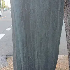 二宮神社大祭用地