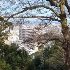 徳島中央公園東側駐車場