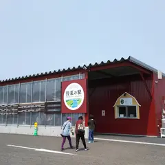 野菜の駅ふれあいファームしのつ