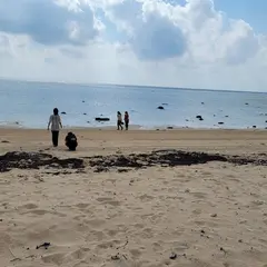 南風見田の浜