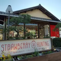 STRAWBERRY HUNTING neo