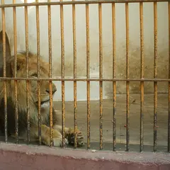ギーザ動物園