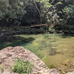 大川原のにたん