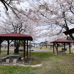 南部公園バーベキュー広場