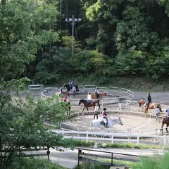 乗馬クラブクレイン千葉