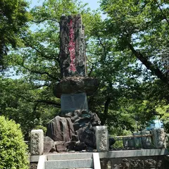山の井公園