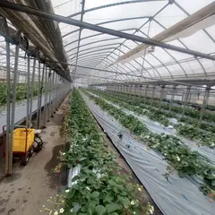 まるじん農園