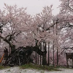 実相寺