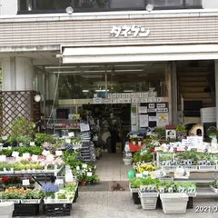 タネ源本店