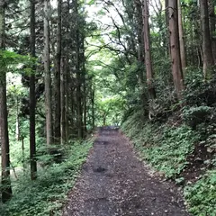 木下沢林道