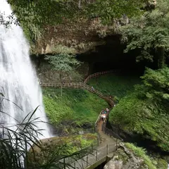 杉林渓森林遊楽園