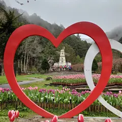 內花園 杉林溪森林生態渡假園區