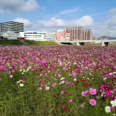 遠賀川河川敷駐車場