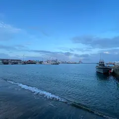 石垣漁港フィッシャリーナ