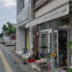 シャミーズ フラワーマーケット｜Shammy's flower market