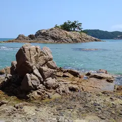 浦富宮島展望台