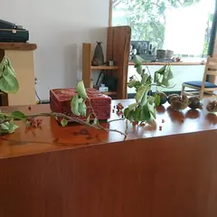 手打ちそば まえ弥ま