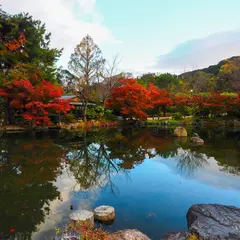 円山公園 ひょうたん池