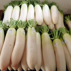 野菜の里 須軽谷