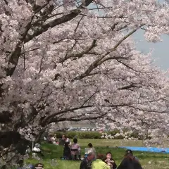 トリム公園
