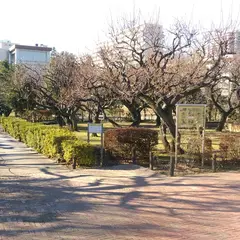 田柄梅林公園